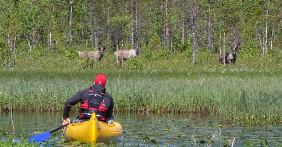 Rovaniemi: Authentic Reindeer Farm & Canoeing - A four-hour introduction to Lapland beyond the postcard
