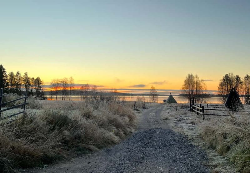 Rovaniemi: Autumn Husky Ride on Wheels - Why huskies train on wheels before the snow
