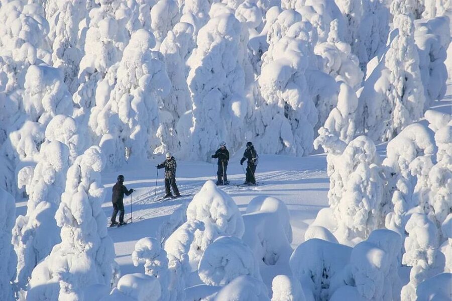 Rovaniemi: Cross Country Wilderness Ski Adventure - Gliding through snow-covered Ounasvaara