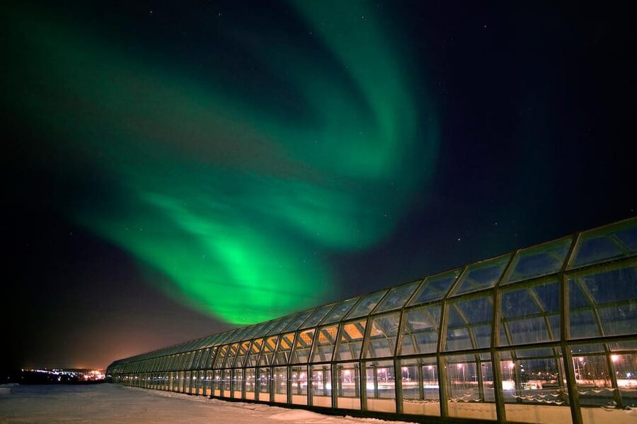 Rovaniemi: Culture Pass to Arktikum, Korundi, and Pilke - Pilke: forests, machines, and playful science