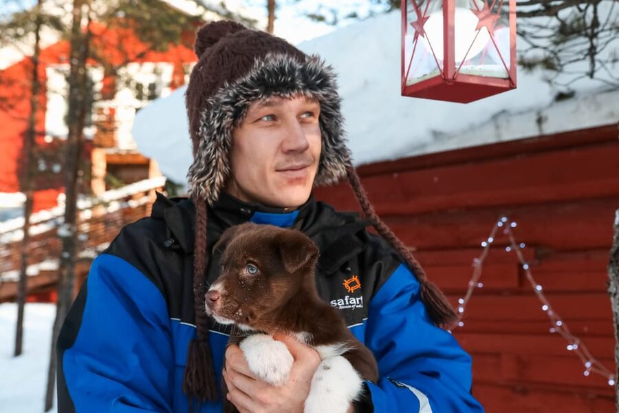 Rovaniemi: Daytime Husky Safari - Key points to know before booking