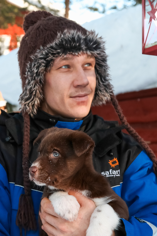 Rovaniemi: Daytime Husky Safari - Meeting the Alaskan huskies at the kennel