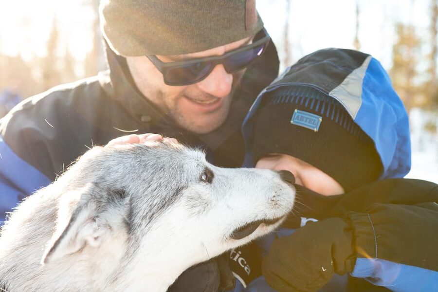 Rovaniemi: Daytime Husky Safari - Transfers, meeting points, and timing