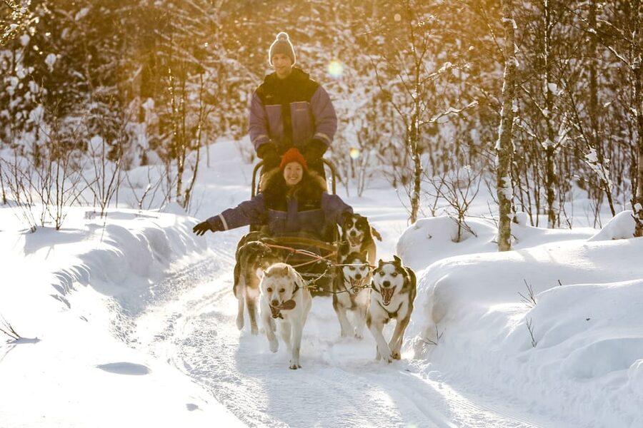 A husky team on a daytime trail