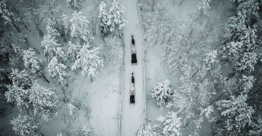 Rovaniemi: Daytime Reindeer Sleigh Ride - Key points to know before booking
