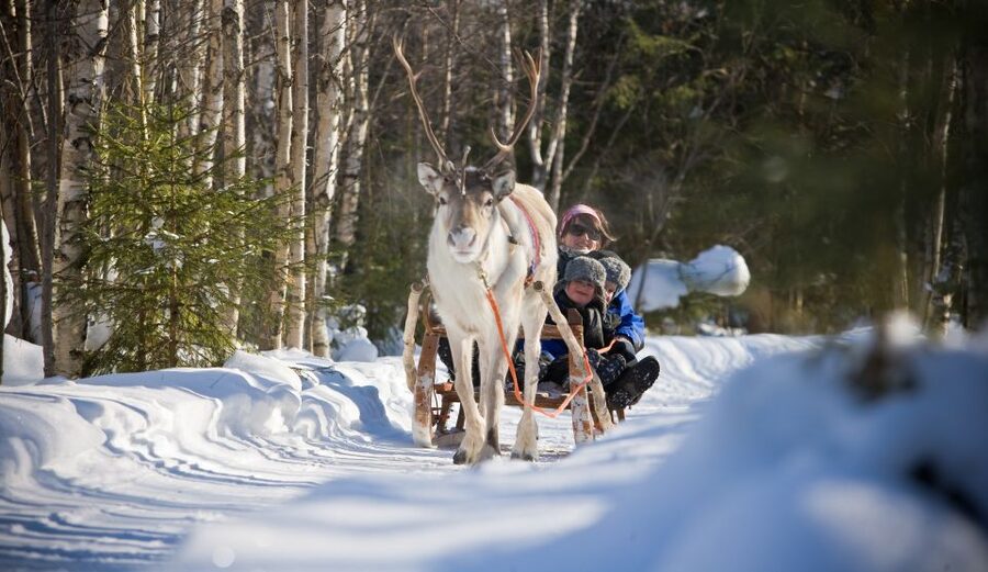 Rovaniemi: Daytime Reindeer Sleigh Ride - How the two-hour schedule affects value