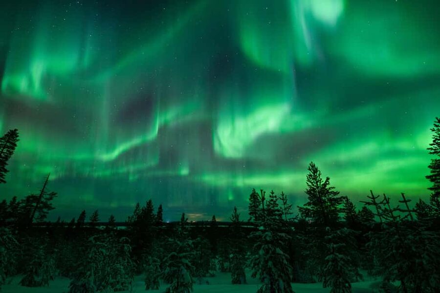 Rovaniemi: Discover the Northern Lights Photography Tour - Transport, clothing, and the cold