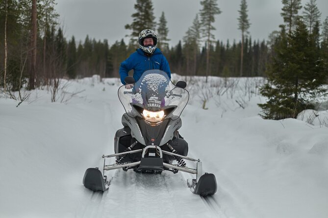 Rovaniemi: Drive New 2025 Snowmobiles on Arctic Safari & BBQ - Leaving central Rovaniemi for the Arctic woods
