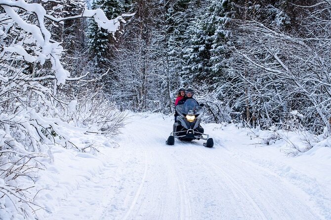 Rovaniemi: Drive New 2025 Snowmobiles on Arctic Safari & BBQ - A fire, grilled sausages, and hot drinks