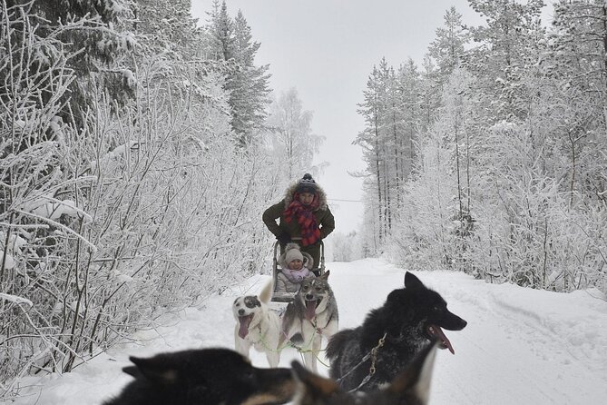 Rovaniemi: Drive Your Own Husky Team (6–10 km) & BBQ - Keeping warm at temperatures below zero