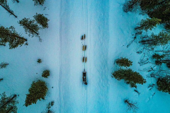 Rovaniemi: Drive Your Own Husky Team (6–10 km) & BBQ - Pickup from Rovaniemi and the trip out
