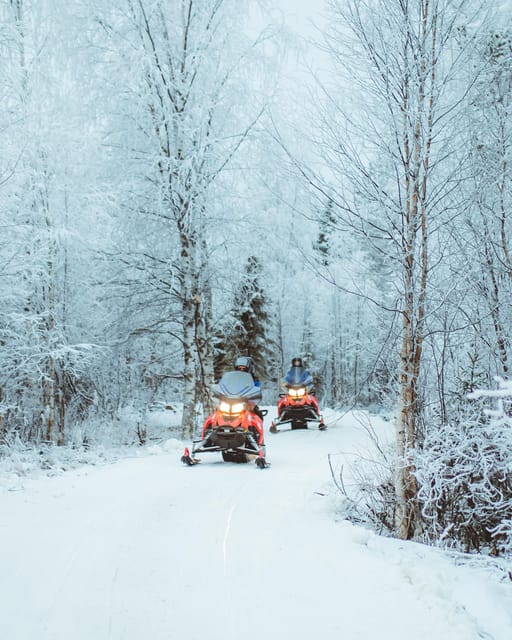Rovaniemi: Early Winter 2 Hour Snowmobile Safari - Why this early-winter safari is worth considering