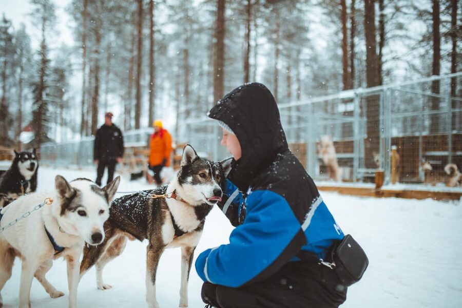 Rovaniemi: Early Winter Husky Sled Ride - Taking control of your own sled