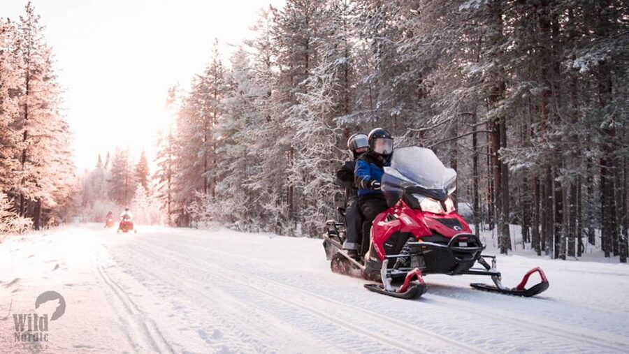 Rovaniemi: Easy Snowmobile Safari - Who should book this safari?