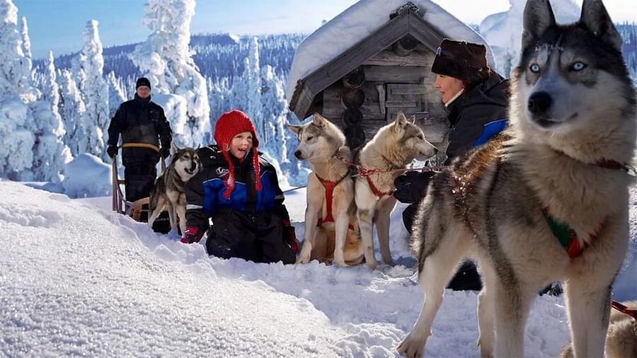 Rovaniemi: Family Friendly Husky Ride and Farm Visit - Meeting the huskies at the farm