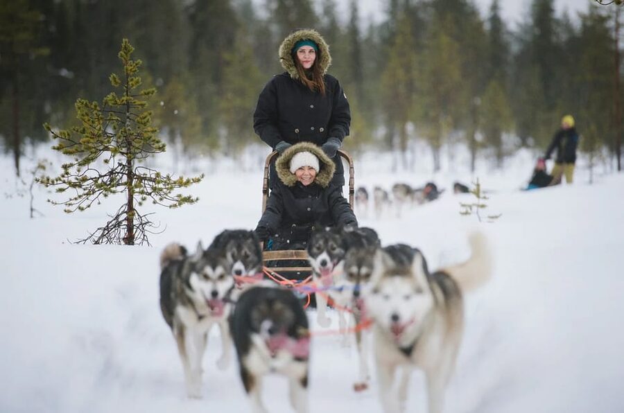 Rovaniemi: Family Friendly Husky Ride and Farm Visit - Should you book the Rovaniemi husky ride?