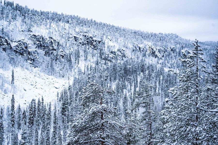 Rovaniemi: Frozen Waterfalls of Korouoma Canyon & Pro Photos - Lunch beside a fire at the lean-to shelter