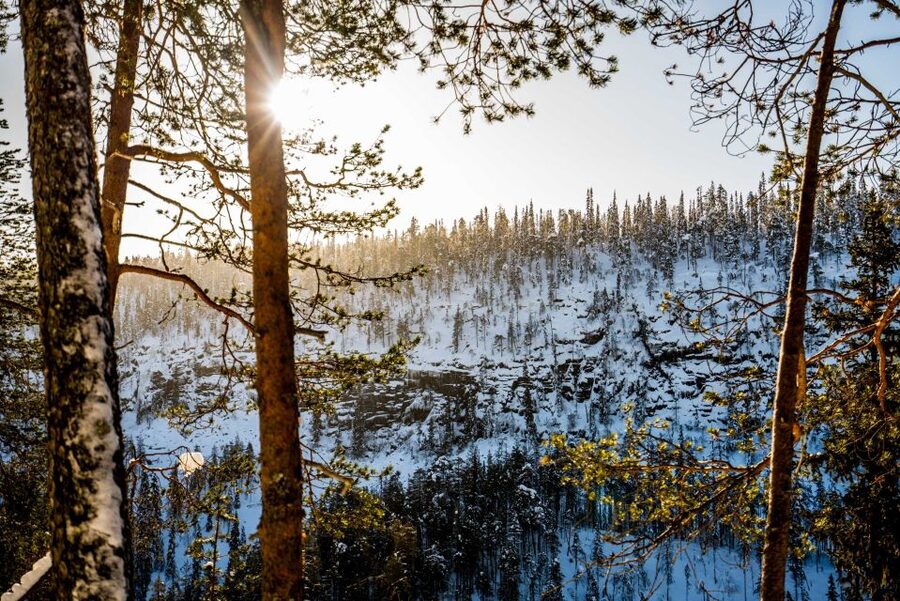 Rovaniemi: Frozen Waterfalls of Korouoma Canyon & Pro Photos - Who should book this hike