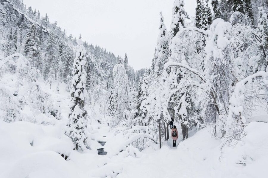 Rovaniemi: Frozen Waterfalls of Korouoma Canyon & Pro Photos - The 90-minute van ride and getting ready