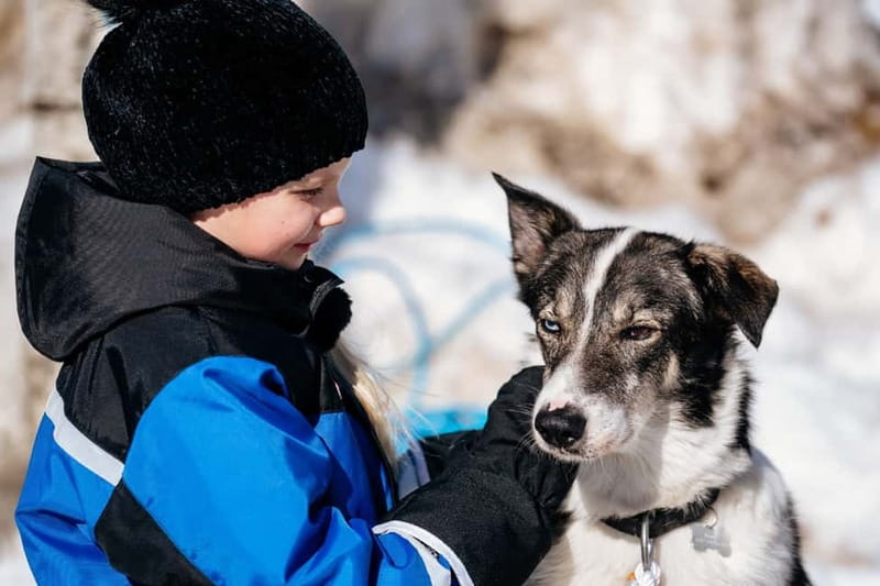 Rovaniemi: Full-Day Snow and Fun Activities - Apukka gives you a sampler of Lapland winter life