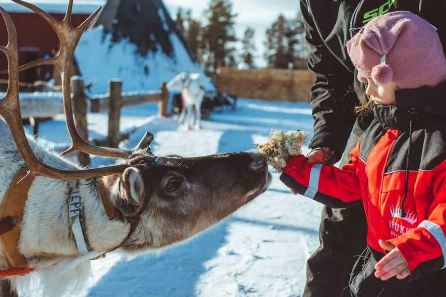 Rovaniemi: Full-Day Snow and Fun Activities - Getting dressed for four hours in the snow