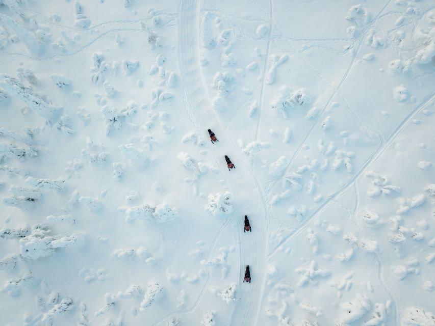 Rovaniemi: Full-Day Snowmobile Safari into the Wilderness - Sharing a snowmobile and learning the rhythm