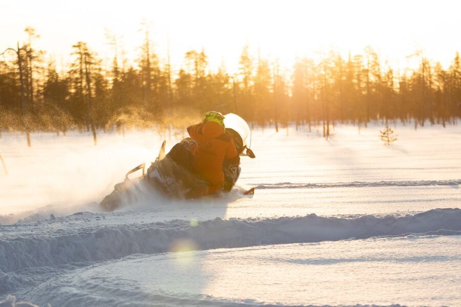Rovaniemi: Full-Day Snowmobile Safari into the Wilderness - Who should book this safari?