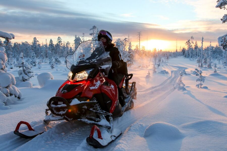 Rovaniemi: Full-Day Snowmobile Safari into the Wilderness - Booking details that can save trouble