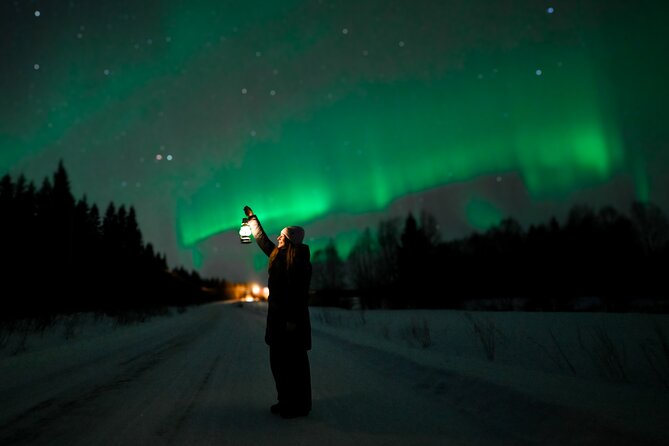 Rovaniemi: Guaranteed Northern Lights - Small Group & Photography - Leaving Rovaniemi at 6 pm