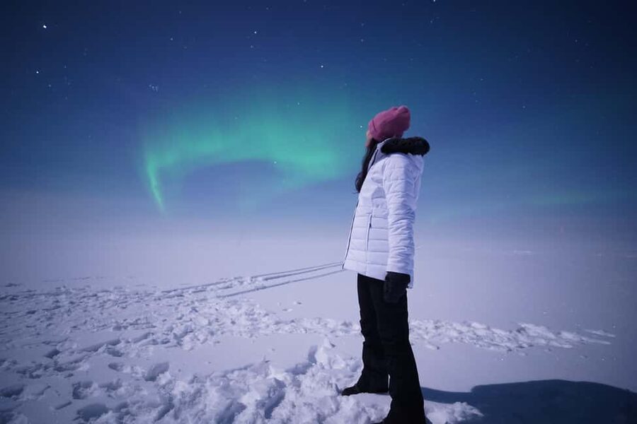 Rovaniemi: Guaranteed Northern Lights Tour with Photos - Local guides who make the difference