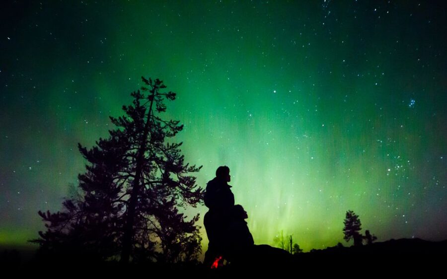 Rovaniemi: Guided Northern Lights Tour - Leaving Rovaniemi for the dark Arctic sky