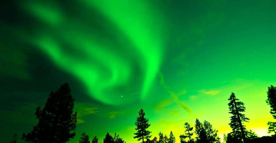 Rovaniemi: Guided Northern Lights Tour - Should you book it?