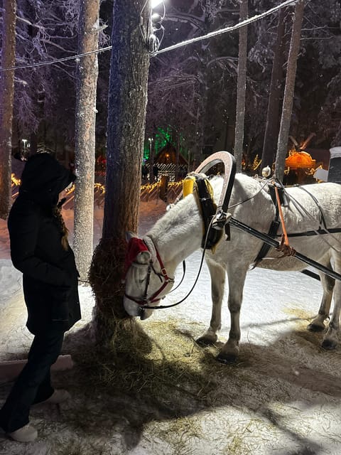 Rovaniemi: Guided Tour of Santa Claus Village - Why a guide helps at Santa Claus Village