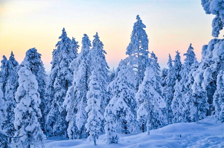 Rovaniemi: Guided Wilderness Snowmobile Ride - Safety training before the throttle