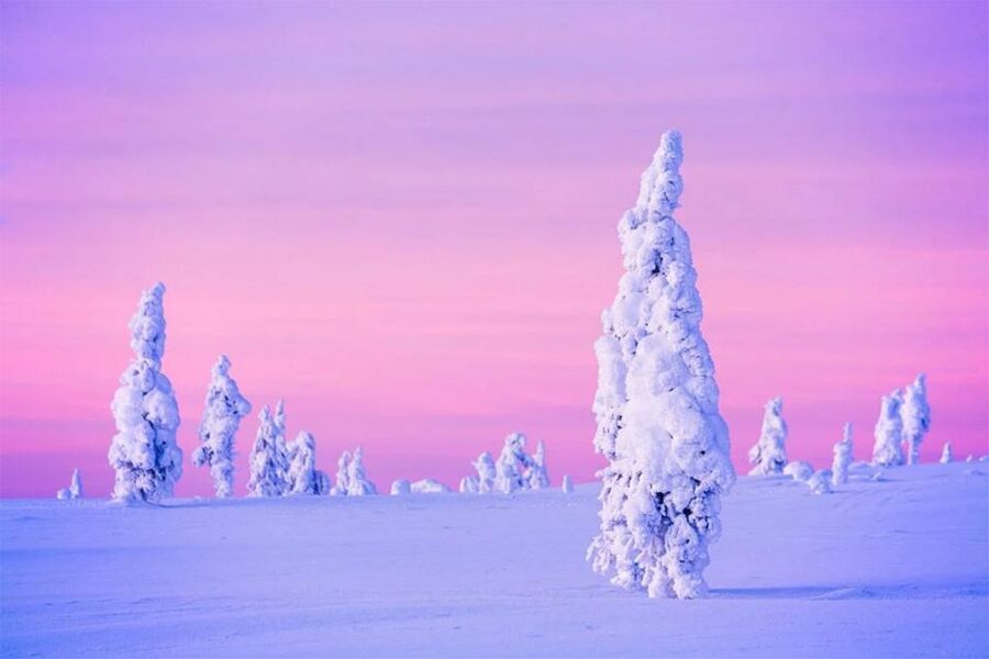 Rovaniemi: Half-Day Snowmobile & Ice Fishing Experience - Clothing, safety, and who can drive