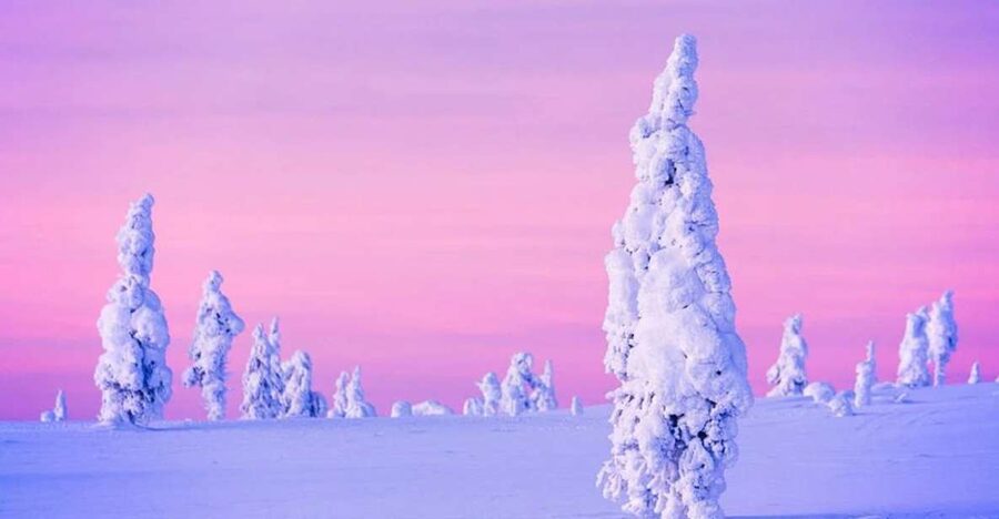 Rovaniemi: Half-Day Snowmobile & Ice Fishing Experience - Is $258 fair for this half-day?
