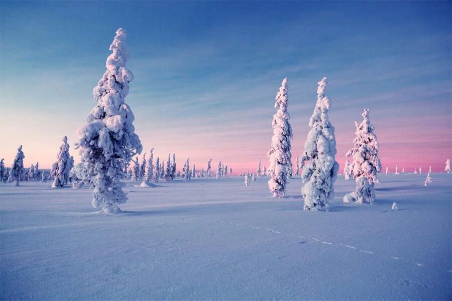 Rovaniemi: Half-Day Snowmobile & Ice Fishing Experience - Ice fishing on a frozen lake