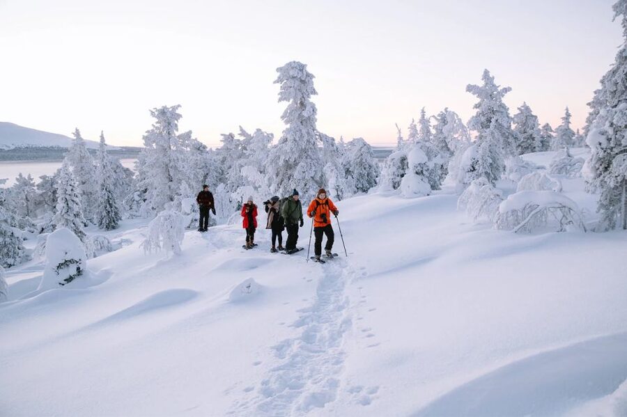 Rovaniemi: Hiking and Snowshoeing Adventure in Lapland - Crossing the lake and entering the forest