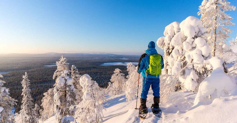Rovaniemi: Hiking and Snowshoeing Adventure in Lapland - What the guide adds to the walk