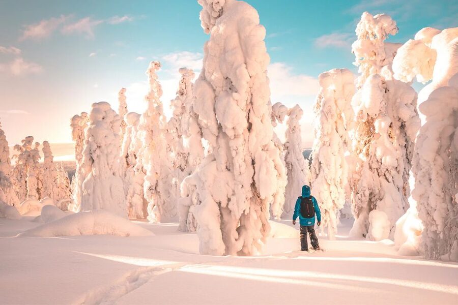 Rovaniemi: Hiking and Snowshoeing Adventure in Lapland - Winter clothing, transport, and timing