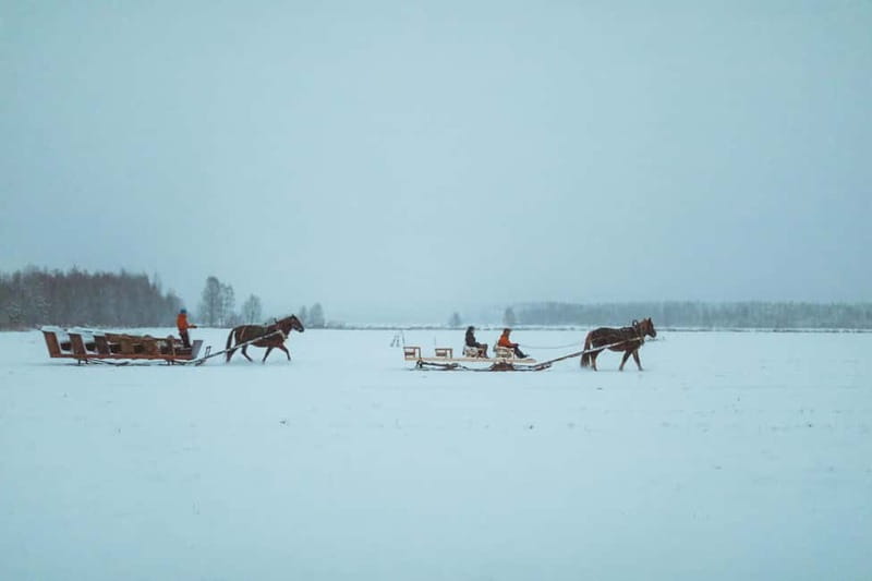 Rovaniemi: Horse Sleigh Ride under the Night Sky - A bonfire, sausages, and a warm drink