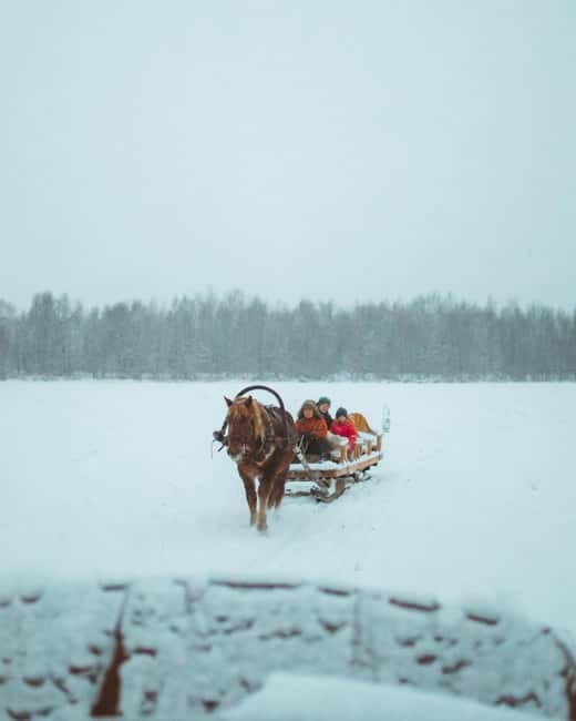 Rovaniemi: Horse Sleigh Ride under the Night Sky - The Aurora question: beautiful possibility, no guarantee