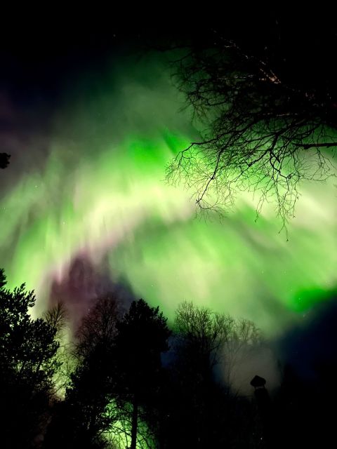 Rovaniemi Hunting Aurora at the Best Spots - The guide’s role beyond transport