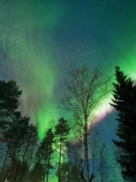 Rovaniemi Hunting Aurora at the Best Spots - Waiting beside the lake with hot tea