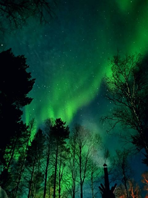 Rovaniemi Hunting Aurora at the Best Spots - Is $108 a fair price?