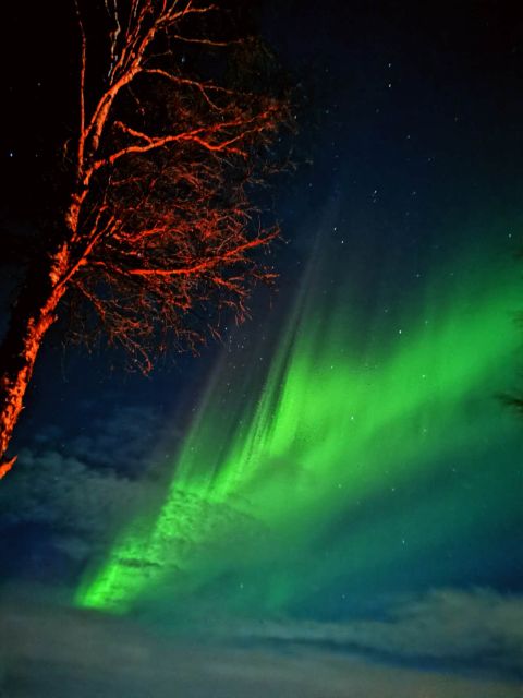 Rovaniemi Hunting Aurora at the Best Spots - What the 3.5-hour evening looks like