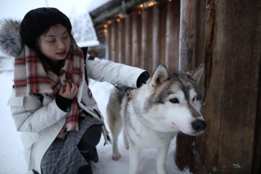 Rovaniemi: Husky and reindeer farm visit with sleigh rides - Where the experience feels strongest