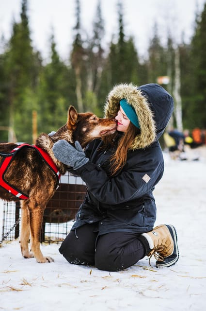 Rovaniemi: Husky and Reindeer farm with sleigh ride - What the $259 price includes