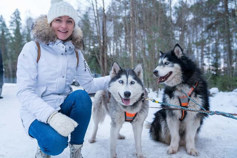 Rovaniemi: Husky Farm and Reindeer Experience - A quick Arctic sampler from Rovaniemi