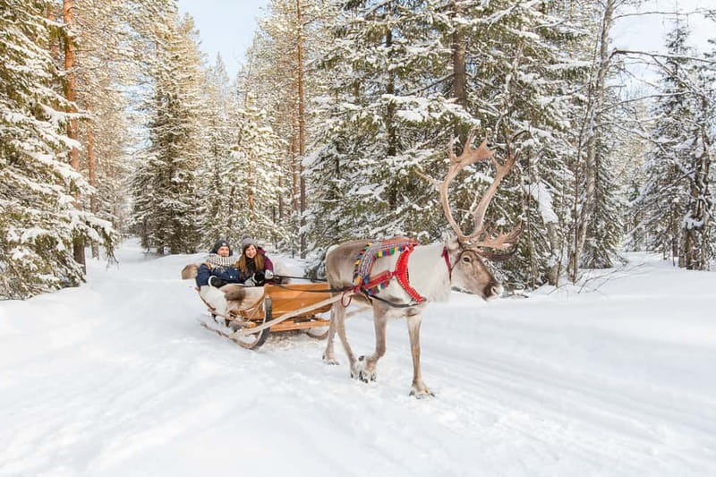 Rovaniemi: Husky Farm and Reindeer Experience - Santa Claus Village: useful finale or tourist detour?